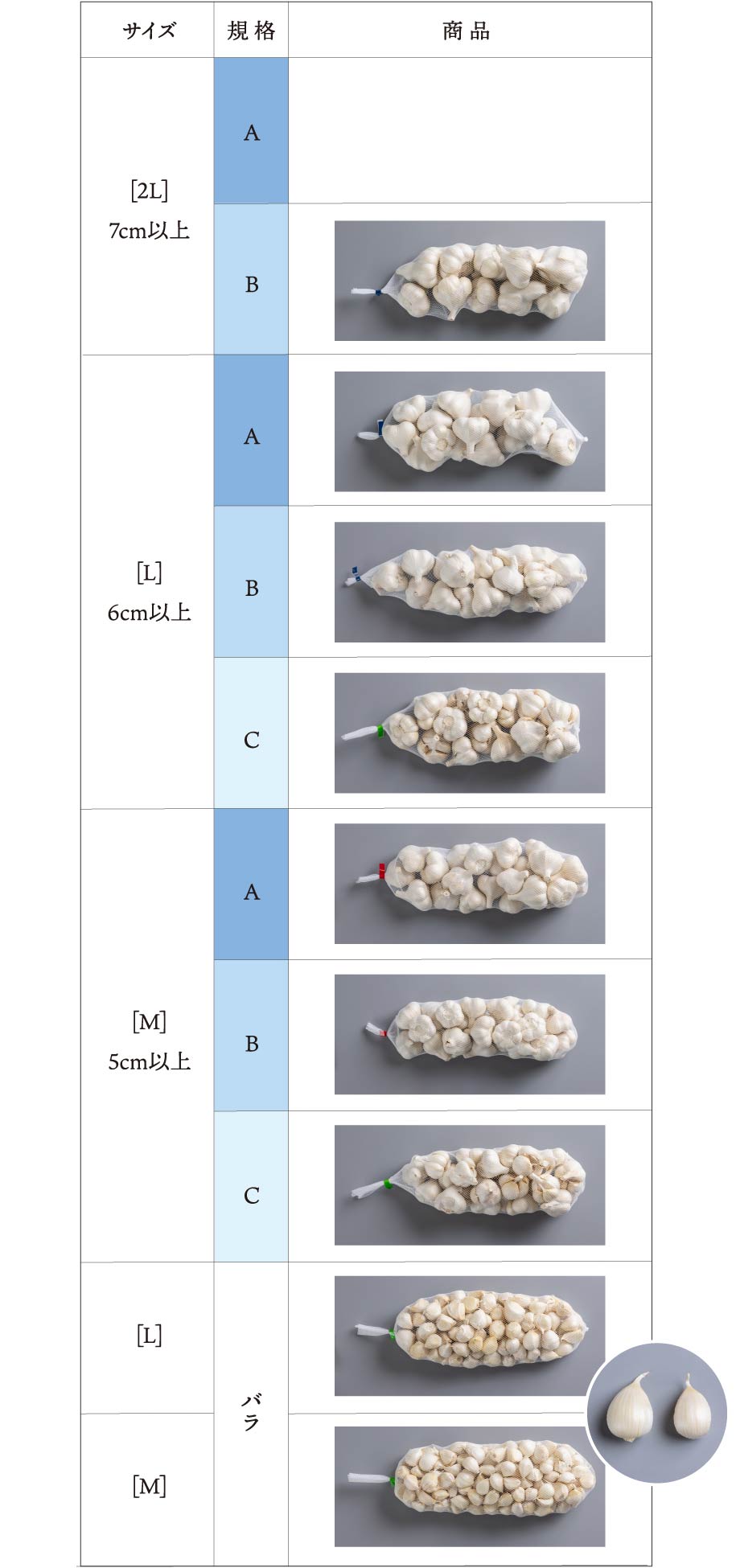 2LからMまでの商品のイメージ