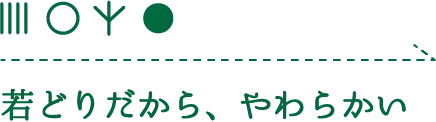 若どりだから、やわらかい