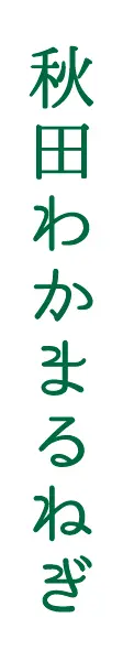 秋田わかまるねぎ