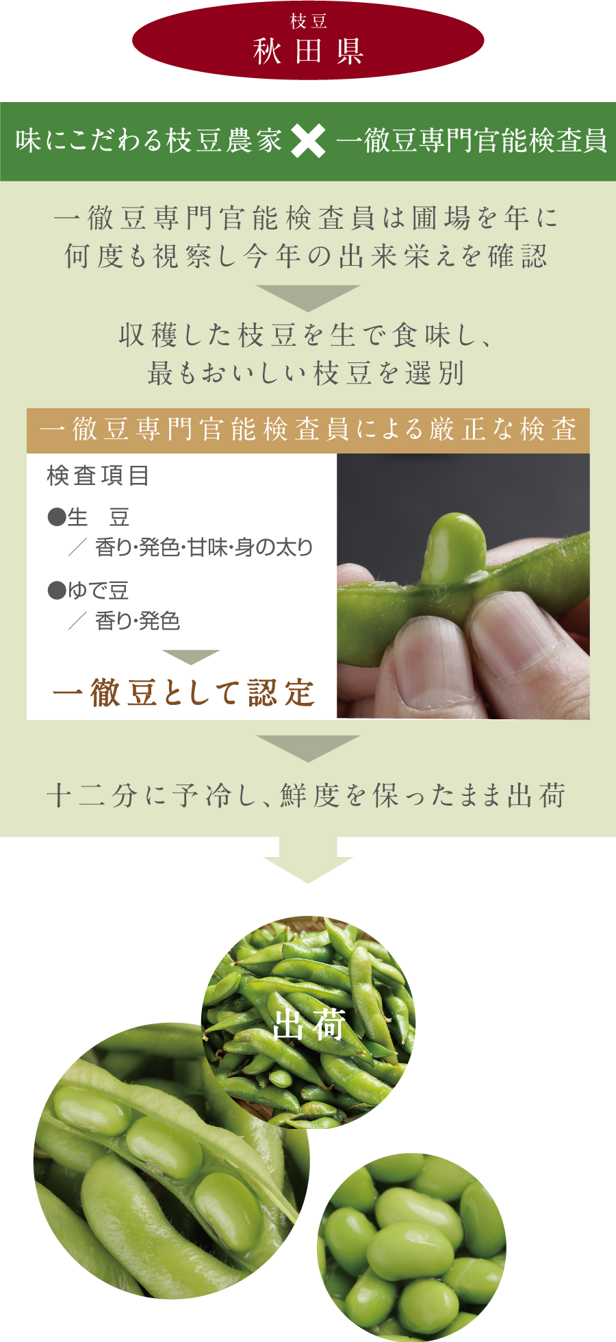 味にこだわる枝豆農家×一徹豆専門官能検査員 一徹豆専門官能検査員は圓場を年に何度も視察し今年の出来栄えを確認⇒収穫した枝豆を生で食味し、最もおいしい枝豆を選別⇒十二分に予冷し、鮮度を保ったまま出荷