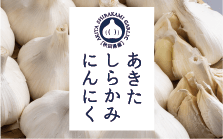 丸果秋田県青果 あきたしらかみにんにく