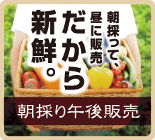 朝採って、昼に販売だから新鮮。　朝採り午後販売。