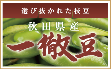 選び抜かれた枝豆 秋田県産 一徹豆