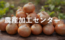 丸果秋田県青果 農産加工センター